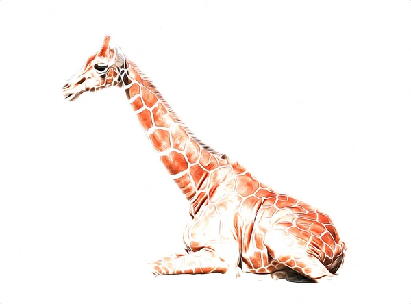 Tekening Tekening Illustratie Van Giraffe — Stockfoto