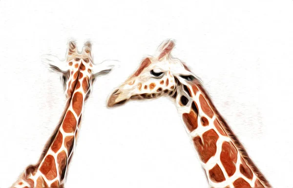 Tekening Tekening Illustratie Van Giraffe — Stockfoto