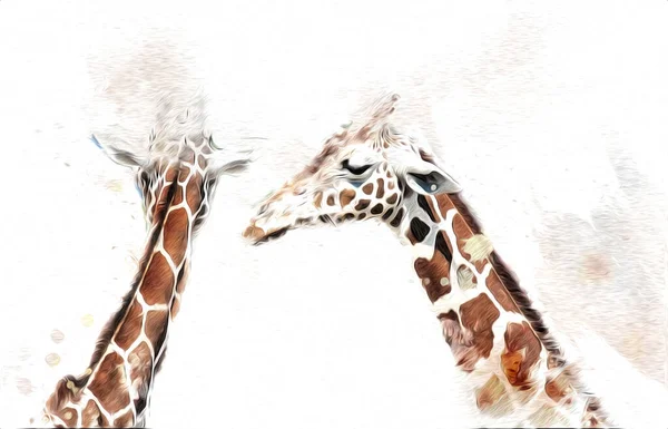 Rysunek Artystyczny Ilustracja Żyrafy — Zdjęcie stockowe
