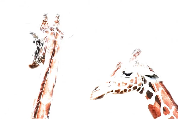 Kreslení Kresby Ilustrace Žirafy — Stock fotografie
