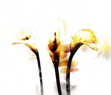 Resim resimli klasik arkaplan