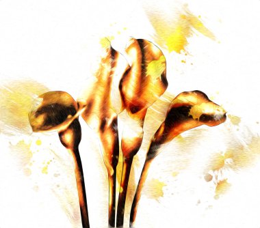 Resim resimli klasik arkaplan