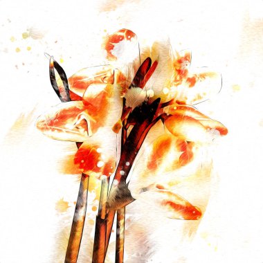 Resim resimli klasik arkaplan