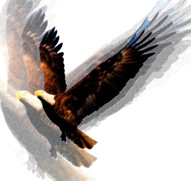 Kel kartal el çizimi ve beyaz arkaplan çizimi üzerine çullanır