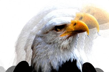 Kel kartal el çizimi ve beyaz arkaplan çizimi üzerine çullanır