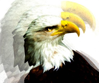 Kel kartal el çizimi ve beyaz arkaplan çizimi üzerine çullanır