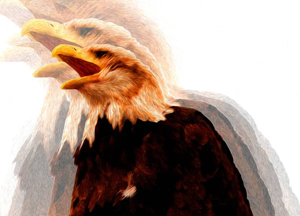 Bald Eagle Swoop Lądowania Strony Rysunku Farby Białym Tle Ilustracji — Zdjęcie stockowe