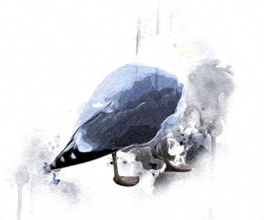 Atlantik beyaz deniz kuşu gökyüzünde uçar. Plaj martısı. Deniz kuşları, martı çizgi film çizimleri.