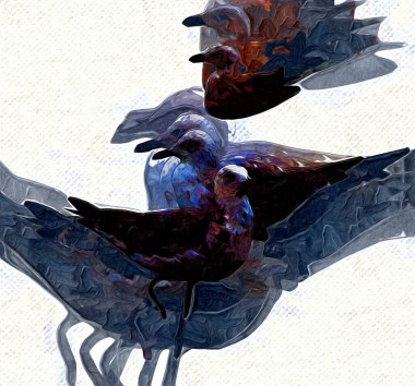 Atlantik beyaz deniz kuşu gökyüzünde uçar. Plaj martısı. Deniz kuşları, martı çizgi film çizimleri.