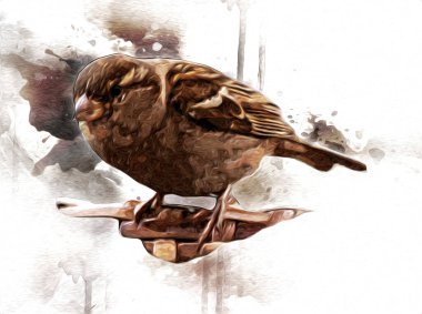 Serçe kuşu klasik illüstrasyon sanatı eskiz çiziyor antika eski