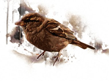 Serçe kuşu klasik illüstrasyon sanatı eskiz çiziyor antika eski