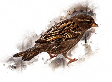 Serçe kuşu klasik illüstrasyon sanatı eskiz çiziyor antika eski