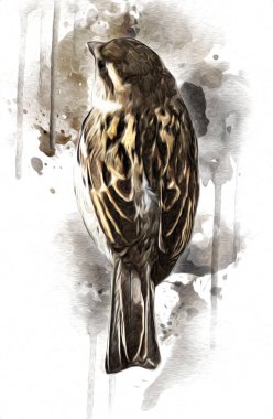 Serçe kuşu klasik illüstrasyon sanatı eskiz çiziyor antika eski