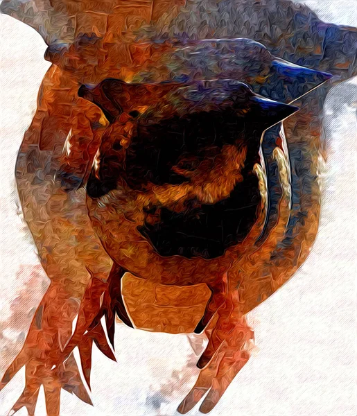 Горобцеподібний Птах Старовинна Ілюстрація Художній Малюнок Ескіз Антикварний Ретро Старий — стокове фото