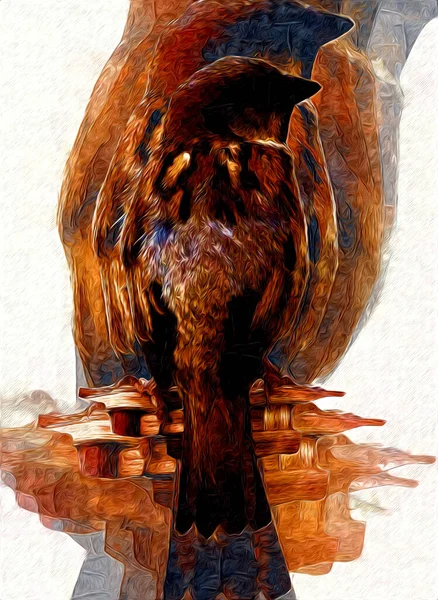 Sparrow Bird Vintage Illustration Art Drawing Sketch Antique Retro Old — Stock Photo, Image