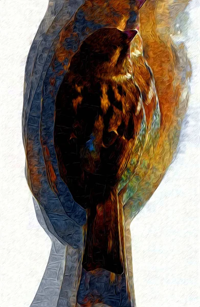 Gorrión Pájaro Vintage Ilustración Arte Dibujo Boceto Antiguo Retro — Foto de Stock