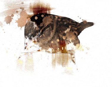 Serçe kuşu klasik illüstrasyon sanatı eskiz çiziyor antika eski