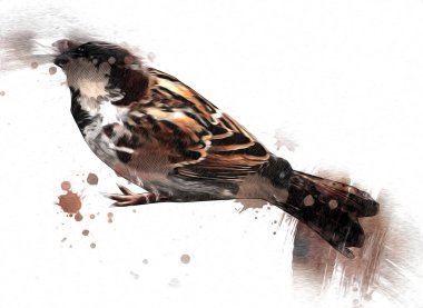 Serçe kuşu klasik illüstrasyon sanatı eskiz çiziyor antika eski