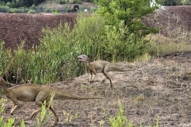 Dinozorlar Parkı. Doğanın arka planında bir dinozor. Lunaparktaki oyuncak dinozorlar..