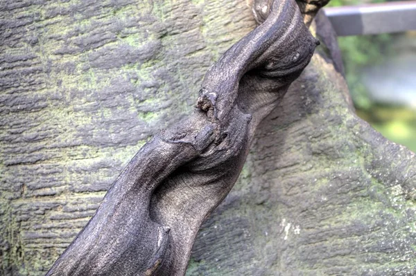 Landstraße Mitten Tropischen Dschungel — Stockfoto