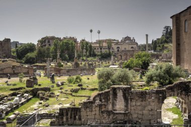 Roman ruins in Rome, Forum Romanum Italy