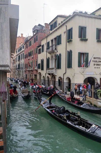 Venezianischer Gondoliere Fährt Mit Gondel Durch Das Grüne Kanalwasser Venedigs — Stockfoto