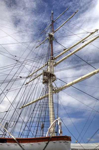 Gdynia Sailing Φρεγάτα Στη Φωτογραφία — Φωτογραφία Αρχείου
