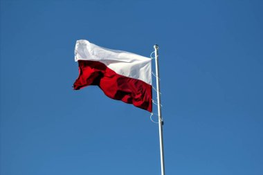 Polonya gökyüzünde bayrak sallıyor