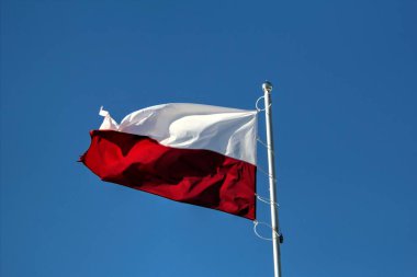 Polonya gökyüzünde bayrak sallıyor