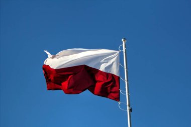 Polonya gökyüzünde bayrak sallıyor