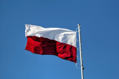 Polonya gökyüzünde bayrak sallıyor