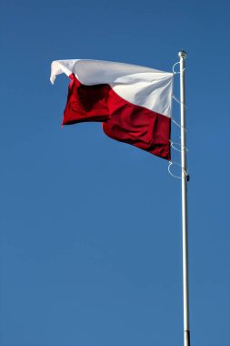 Polonya gökyüzünde bayrak sallıyor