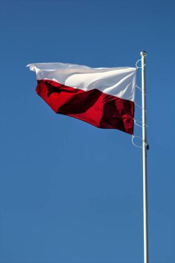 Polonya gökyüzünde bayrak sallıyor