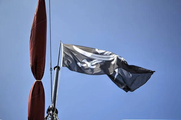 Calavera Huesos Una Bandera Pirata — Foto de Stock