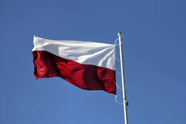 Polen Zwaaiend Met Vlag Aan Hemel — Stockfoto