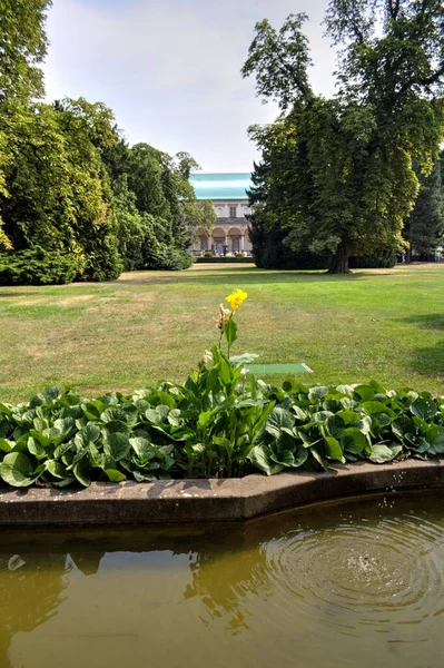 Increíble Palacio Barroco Wallenstein Praga Jardín Francés Hoy Senado República — Foto de Stock