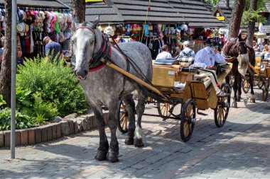Krupowki Caddesi, Zakopane 'de. Polonya