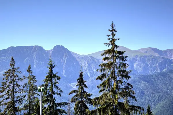 Krajobraz Gór Pobliżu Szlaku Gubałówce Polskie Tatry — Zdjęcie stockowe