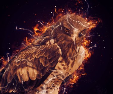 Falcon, arka plan illüstrasyonuna el çizimi ve boya rengi, şahin klasik retro