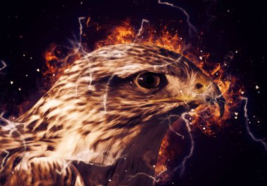 Falcon, arka plan illüstrasyonuna el çizimi ve boya rengi, şahin klasik retro