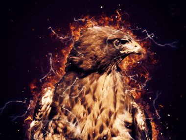 Falcon, arka plan illüstrasyonuna el çizimi ve boya rengi, şahin klasik retro