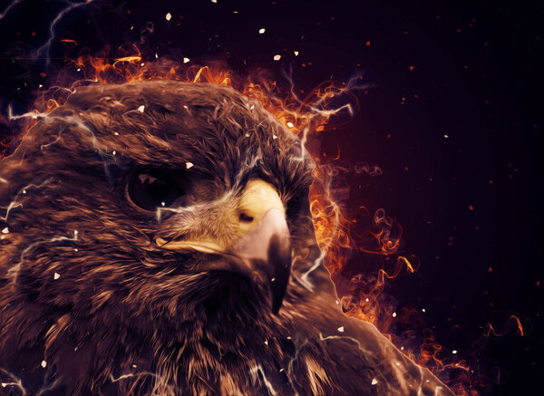 Falcon landing swoop hand draw and paint color on background illustration, hawk vintage retro