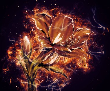 Resim resimli klasik arkaplan