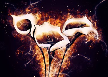 Resim resimli klasik arkaplan