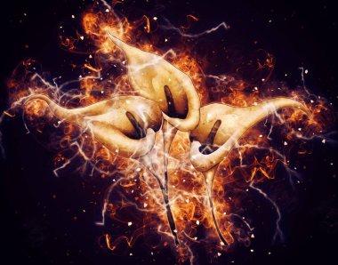 Resim resimli klasik arkaplan