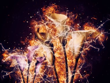 Resim resimli klasik arkaplan