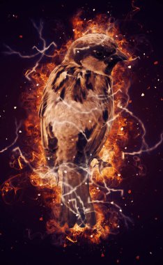 Serçe kuşu klasik illüstrasyon sanatı eskiz çiziyor antika eski