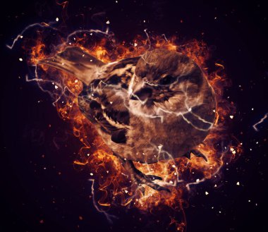 Serçe kuşu klasik illüstrasyon sanatı eskiz çiziyor antika eski