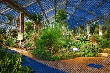 İlkbaharda Kew Botanik Bahçeleri 'nde sera, Londra, İngiltere