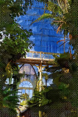 İlkbaharda Kew Botanik Bahçeleri 'nde sera, Londra, İngiltere